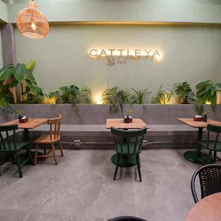 Apartamentos Housy Laureles メデジン エクステリア 写真